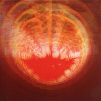 W200_image